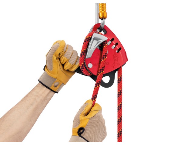 Petzl MAESTRO L