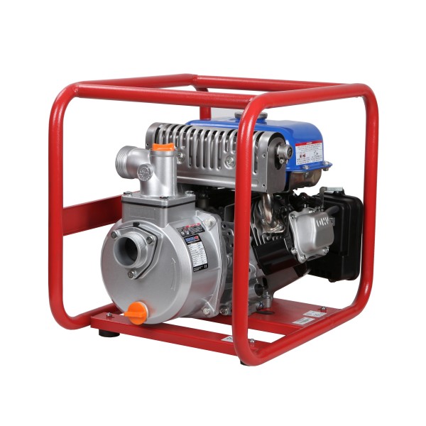 Motorna črpalka Endress EMP 205