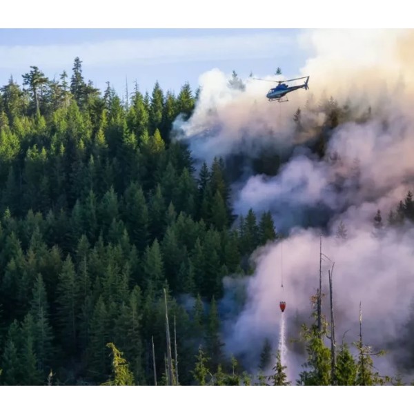 Slika je simbolična